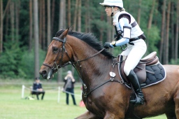 luhmuehlen-2012_cci4-064-jpg