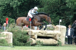 luhmuehlen-2012_cci4-066-jpg