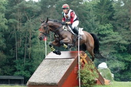 luhmuehlen-2012_cci4-068-jpg
