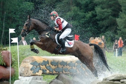 luhmuehlen-2012_cci4-070-jpg