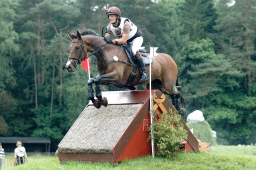 luhmuehlen-2012_cci4-073-jpg