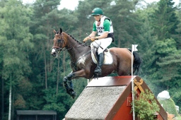 luhmuehlen-2012_cci4-077-jpg