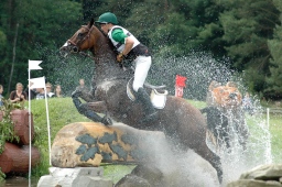 luhmuehlen-2012_cci4-079-jpg