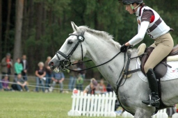 luhmuehlen-2012_cci4-083-jpg