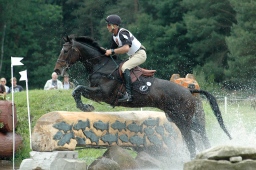 luhmuehlen-2012_cci4-092-jpg