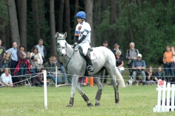 luhmuehlen-2012_cci4-094-jpg