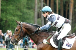 luhmuehlen-2012_cci4-099-jpg