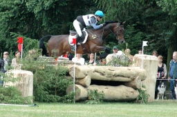 luhmuehlen-2012_cci4-101-jpg