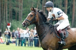 luhmuehlen-2012_cci4-105-jpg