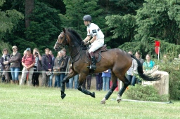 luhmuehlen-2012_cci4-106-jpg