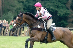 luhmuehlen-2012_cci4-120-jpg