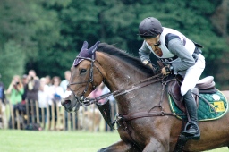 luhmuehlen-2012_cci4-134-jpg