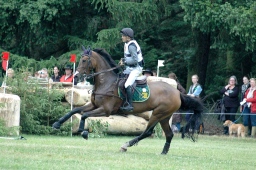 luhmuehlen-2012_cci4-135-jpg