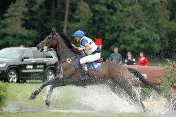 luhmuehlen-2012_cci4-144-jpg
