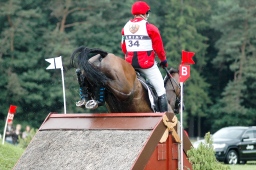 luhmuehlen-2012_cci4-156-jpg