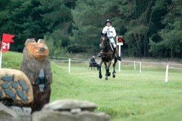 luhmuehlen-2012_cci4-162-jpg