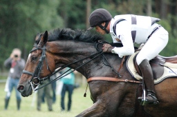 luhmuehlen-2012_cci4-165-jpg