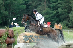 luhmuehlen-2012_cci4-166-jpg