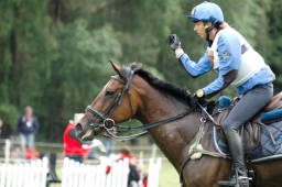 luhmuehlen-2012_cci4-171-jpg