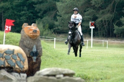 luhmuehlen-2012_cci4-175-jpg