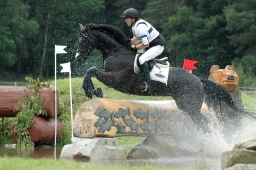 luhmuehlen-2012_cci4-179-jpg