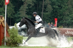 luhmuehlen-2012_cci4-180-jpg