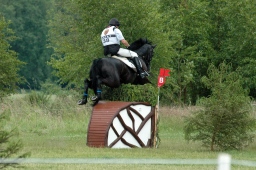 luhmuehlen-2012_cci4-181-jpg