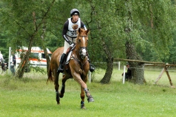 luhmuehlen-2012_cci4-183-jpg