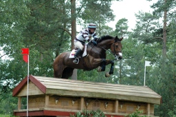luhmuehlen-2012_cci4-185-jpg
