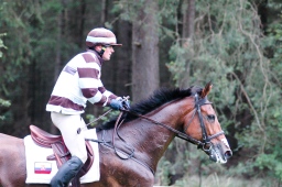 luhmuehlen-2012_cci4-186-jpg