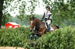 luhmuehlen-2012_cci4-188-jpg