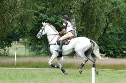 luhmuehlen-2012_cci4-191-jpg