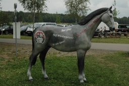 luhmuehlen-2012_cci4-207-jpg