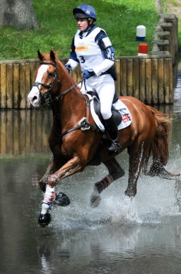 luhmuehlen-2013_cci4-014-jpg