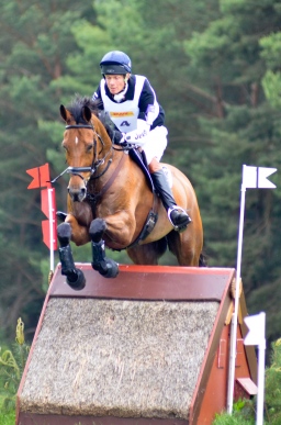 luhmuehlen-2013_cci4-021-jpg