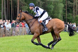 luhmuehlen-2013_cci4-024-jpg