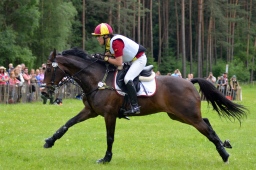 luhmuehlen-2013_cci4-031-jpg