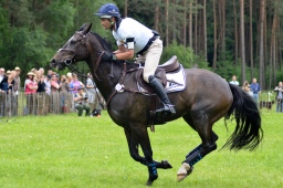 luhmuehlen-2013_cci4-038-jpg