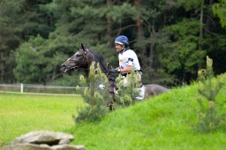 luhmuehlen-2013_cci4-039-jpg