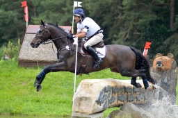 luhmuehlen-2013_cci4-040-jpg