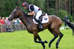 luhmuehlen-2013_cci4-053-jpg