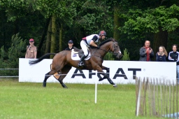 luhmuehlen-2013_cci4-056-jpg