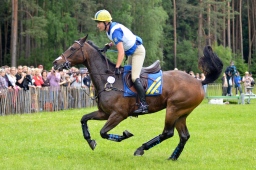 luhmuehlen-2013_cci4-064-jpg