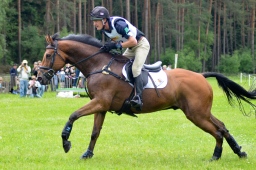 luhmuehlen-2013_cci4-068-jpg
