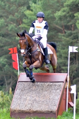 luhmuehlen-2013_cci4-077-jpg