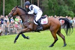 luhmuehlen-2013_cci4-081-jpg