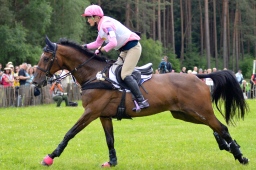 luhmuehlen-2013_cci4-087-jpg