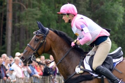 luhmuehlen-2013_cci4-088-jpg