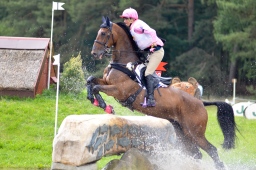 luhmuehlen-2013_cci4-089-jpg