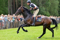 luhmuehlen-2013_cci4-100-jpg